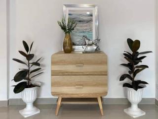 Modern entrance hall with wooden console and decorative plants