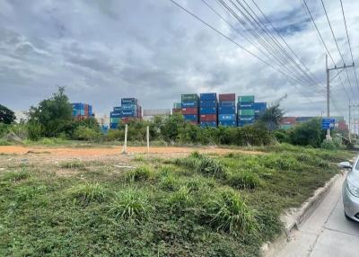 empty lot with overgrown vegetation near a street with a view of industrial containers in the distance