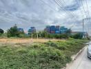 empty lot with overgrown vegetation near a street with a view of industrial containers in the distance