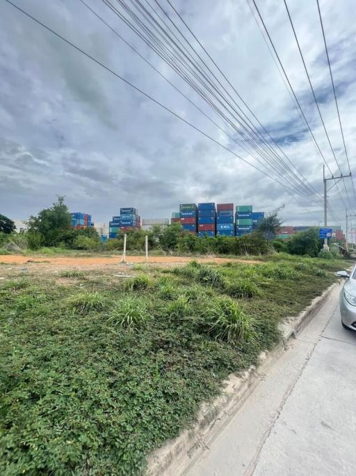 empty lot with overgrown vegetation near a street with a view of industrial containers in the distance