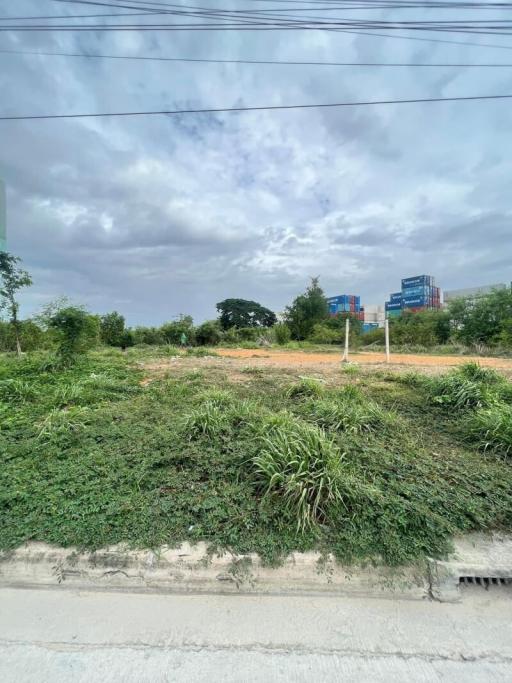 Vacant lot with overgrown vegetation near a street