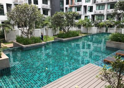 Large outdoor swimming pool with surrounding greenery in a residential building complex