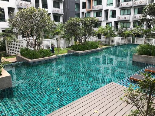 Communal swimming pool with surrounding garden in residential complex