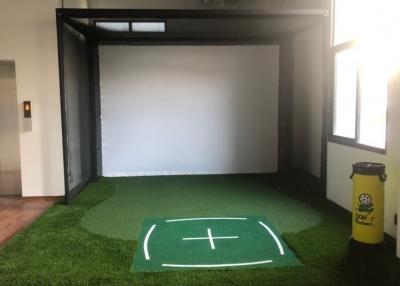Indoor golf practice area with synthetic turf and projection screen