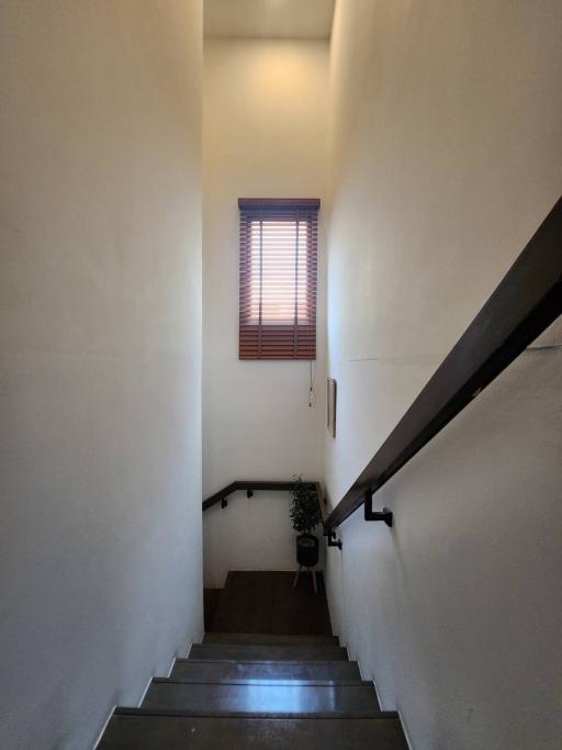 A narrow staircase with a window view