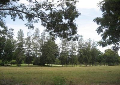 Land On Phoenix Golf Course