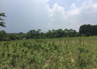 18 Rai Of Land For Sale Near Pattaya Country Club.