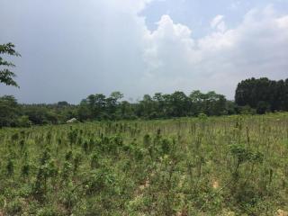 18 Rai Of Land For Sale Near Pattaya Country Club.