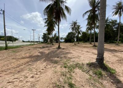 Land For Sale In Huay Yai