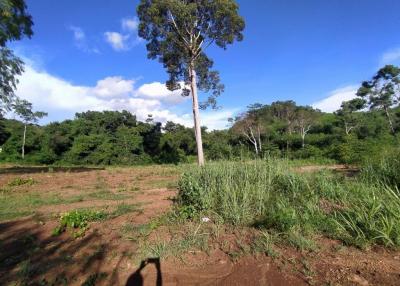 Land For sale Baan Amphur