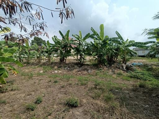 Land For sale Near Jomtien