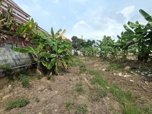 Land For sale Near Jomtien