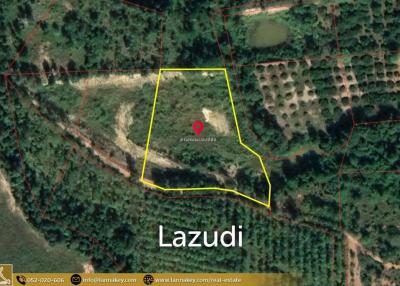 4 Rai hilly land for sale at Mae Taeng, Chiang Mai