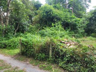 Land 1 and a half Rai for sale Huay Yai