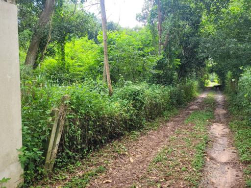 Land 1 and a half Rai for sale Huay Yai