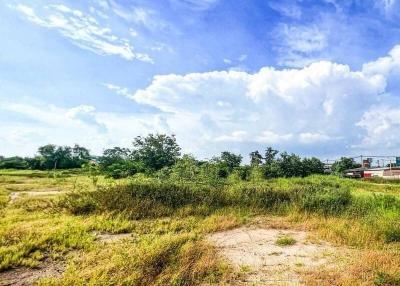 Spacious open land with clear skies and greenery