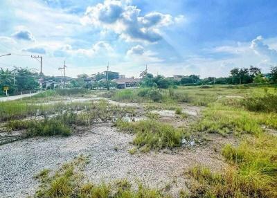 Open land under a cloudy sky with potential for development