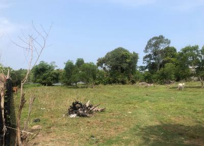 Land for sale Nong prue Banglamung