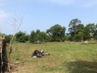 Land for sale Nong prue Banglamung