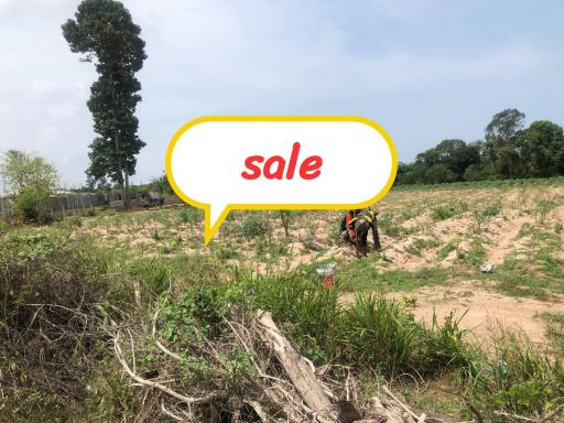 Land for sale Nong prue Banglamung