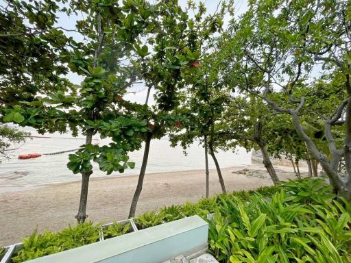 Beachfront Condo For Sale Or Rent at The Sanctuary