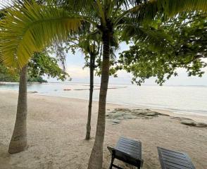 Beachfront Condo For Sale Or Rent at The Sanctuary