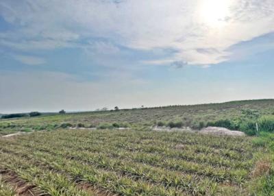 Expansive outdoor landscape with grassland under a sunny sky