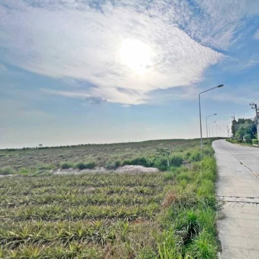 Open Sky over Rural Road Next to Farmland