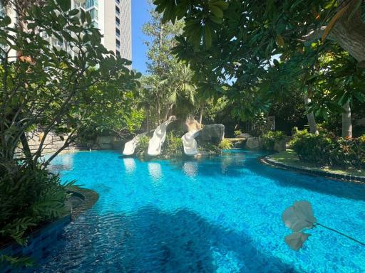 Condo Riviera wong Amart For Sale&Rent