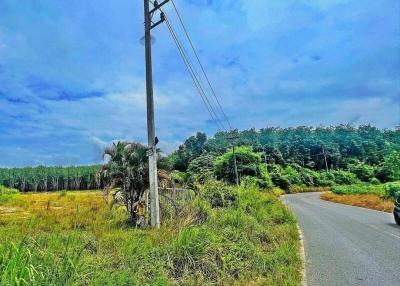 Paved road with adjacent grassy area and power line against a sunny sky with clouds