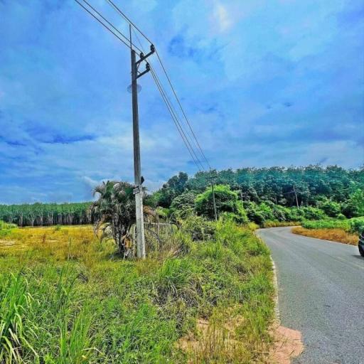 Paved road with adjacent grassy area and power line against a sunny sky with clouds