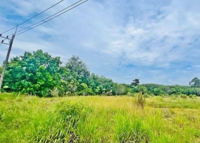 Spacious open land with lush greenery under a clear blue sky