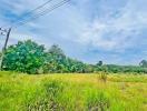 Spacious open land with lush greenery under a clear blue sky