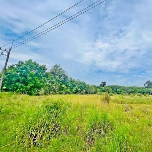 Spacious open land with lush greenery under a clear blue sky