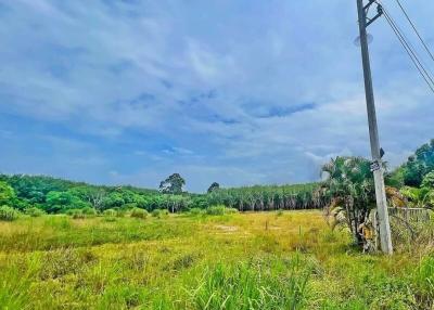 Expansive outdoor landscape under a blue sky with electricity pole