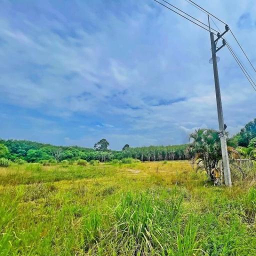 Expansive outdoor landscape under a blue sky with electricity pole