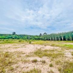 Open land with clear skies and sparse vegetation