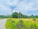 Rural road with lush greenery and clear skies