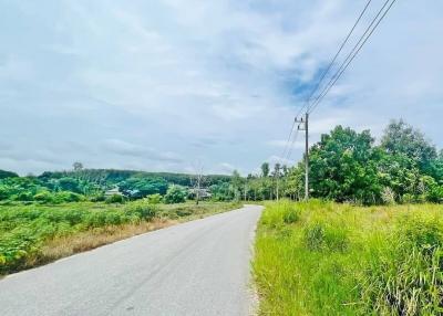 Paved road leading through a green landscape with cloudy sky