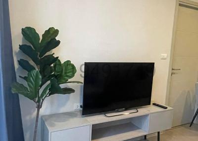 Modern living room with television and decorative plant