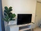 Modern living room with television and decorative plant