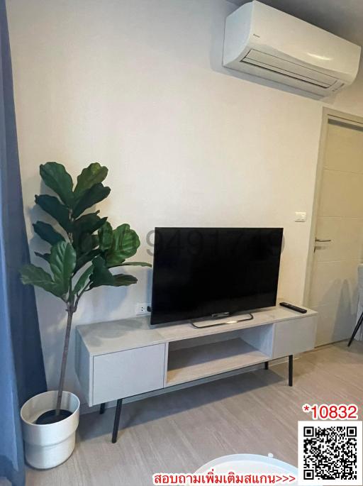 Modern living room with television and decorative plant