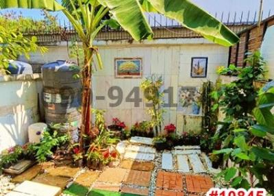 Cozy home garden with tropical plants and decorative paving