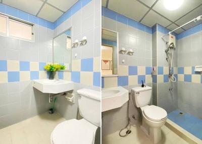 Brightly lit bathroom with blue and white tiles, including modern fixtures and fittings