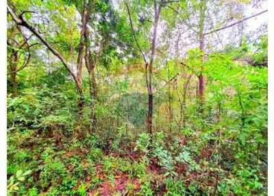 Land for Sale in Taling Ngam, Koh Samui