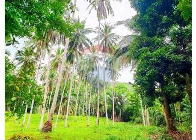 Land for Sale in Taling Ngam, Koh Samui - 920121018-236