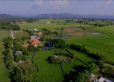 ขายบ้านสไตล์ล้านนาพร้อมสระว่ายน้ำในดอยสะเก็ด