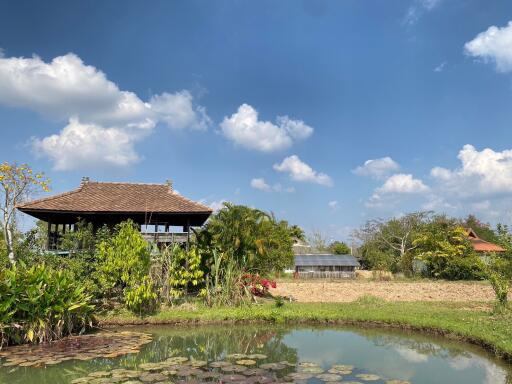 ขายบ้านสไตล์ล้านนาพร้อมสระว่ายน้ำในดอยสะเก็ด