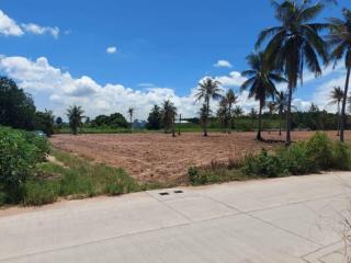 Spacious empty land plot with a clear sky and surrounded by palm trees
