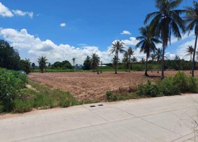 Spacious empty land plot with a clear sky and surrounded by palm trees